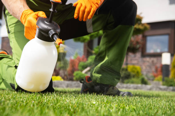 Best Ant Control Services  in Justin, TX