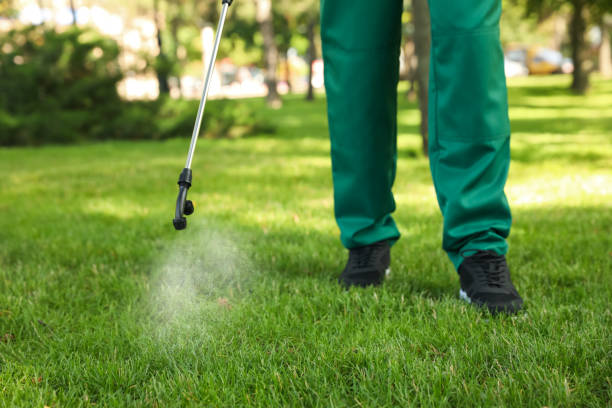 Best Best Pest Control Companies  in Justin, TX
