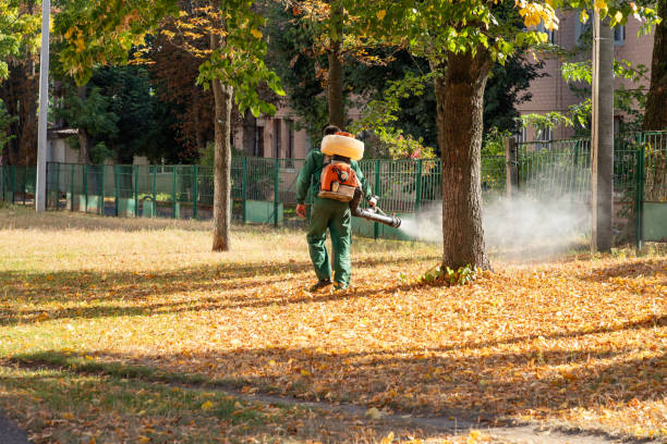 Best Residential Pest Control  in Justin, TX