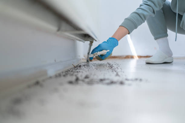 Reliable Justin, TX Pest Control Solutions